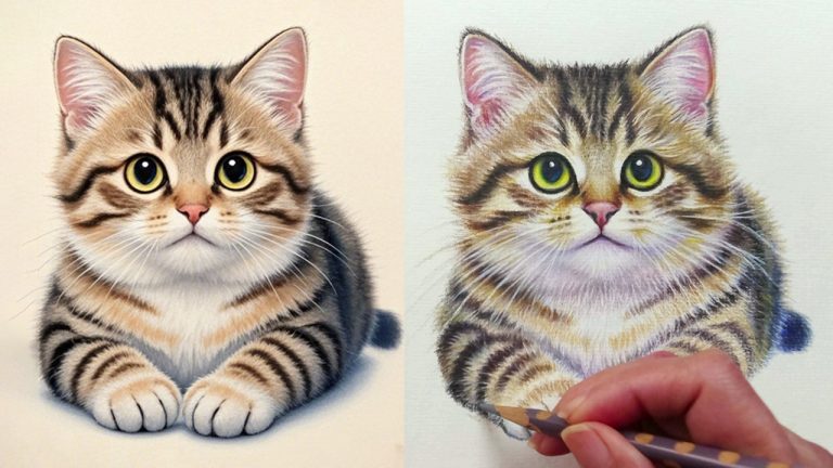 2025-色鉛筆貓咪：寫實風插畫I